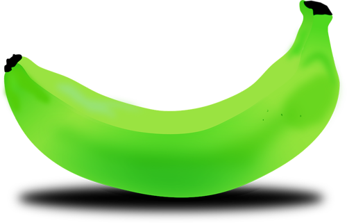 The Green Banana Diet